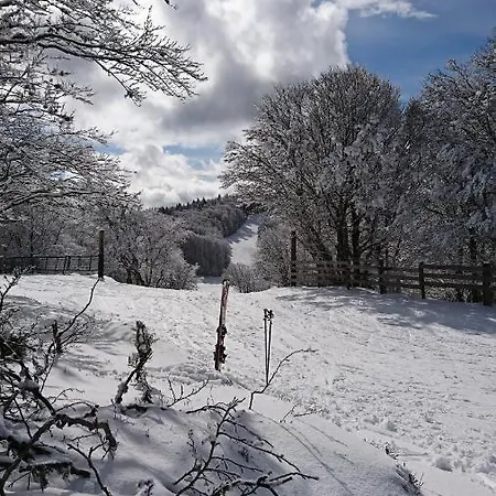Hébergement de vacances Les Myrtilles Saint-nabord, 5 Personnes, 4 Pièces Avec Garage