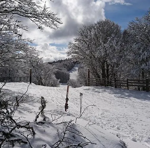Prázdninový dům Les Myrtilles Saint-nabord, 5 Personnes, 4 Pieces Avec Garage